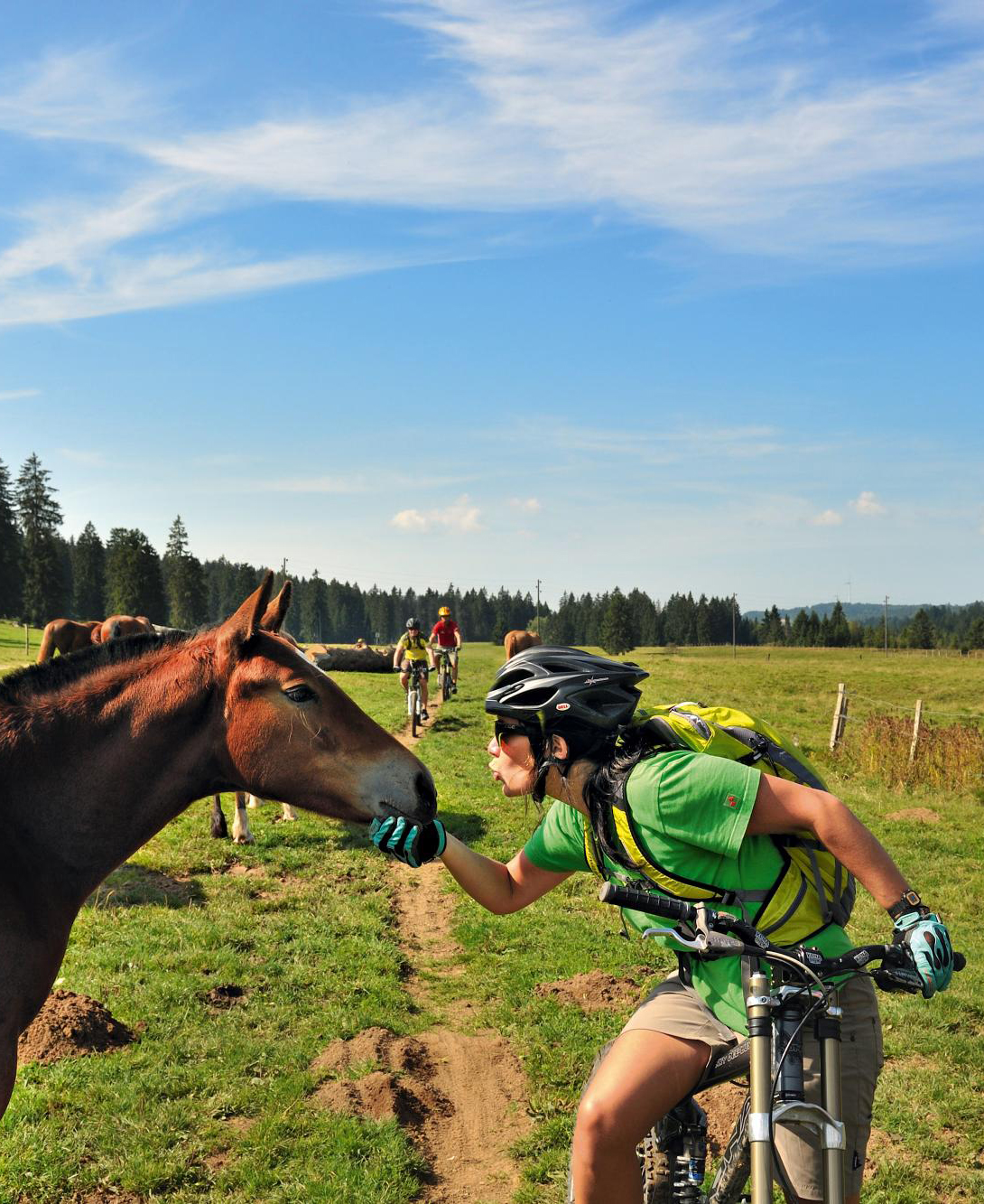 Jura Tourisme